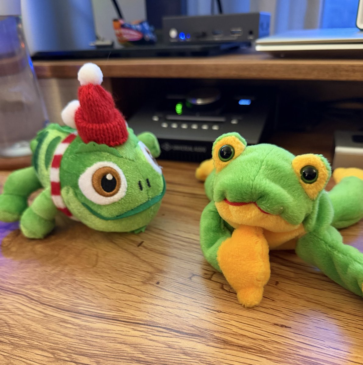 Frog met another Frog today