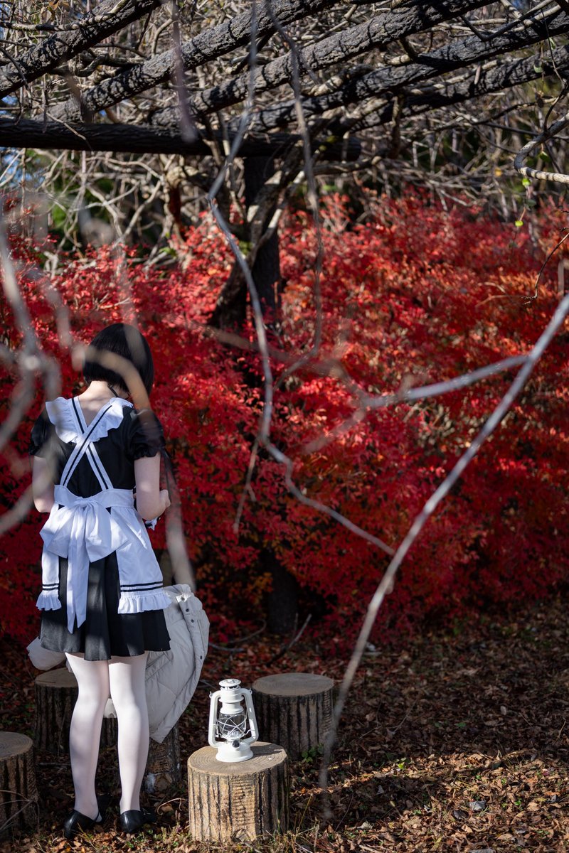 Rito (@rito_6327) / Posts / X