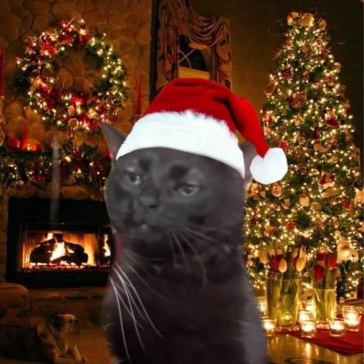 Ujahgrace17's tweet image. Today on #freecodecamp I read the lecture on working with maps and maps sets, what is set in JavaScript and how they differ from weaksets, map object and how they differ from weaksets too
Happy new month and merry Christmas!