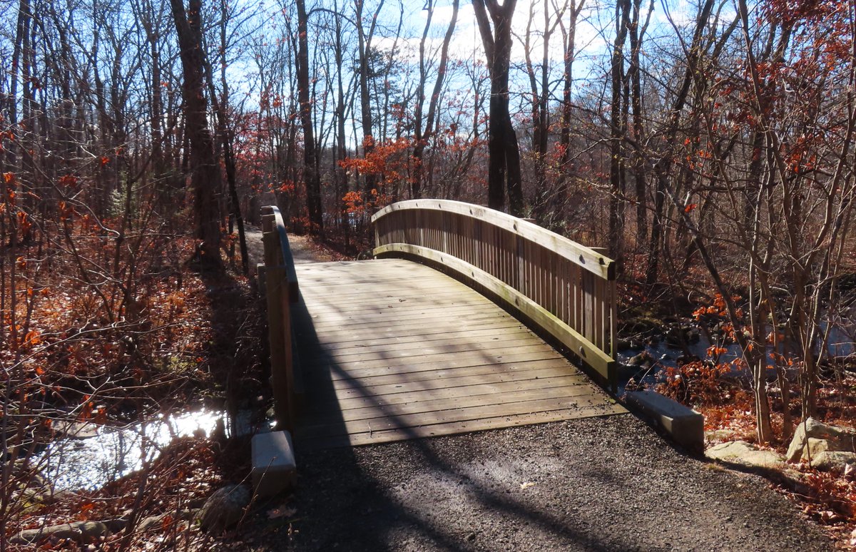 U3_Star's tweet image. A chilly hike today on the Mill Pond Way Trail #Wolcott
