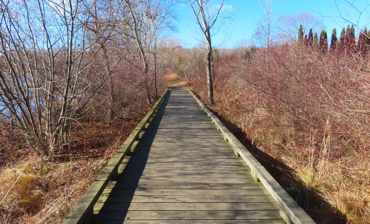 U3_Star's tweet image. A chilly hike today on the Mill Pond Way Trail #Wolcott