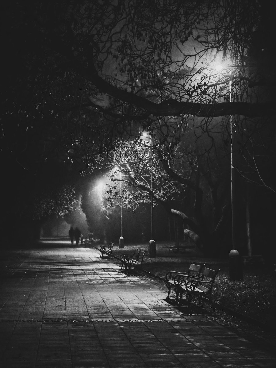 juleska's tweet image. #foggyevening 🔦

Lužánky
