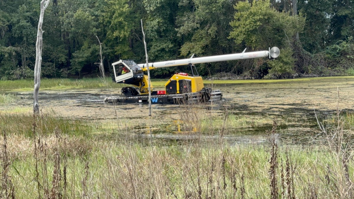 WetlandEquip's tweet image. Training with another Jarraff
#brushcutter
#treetrimmer
#maintenance
#drainage
#dewatering
#waterway
#ROW
#infrastructure
#buggylife
#amphibious
#amphibiouslife
#amphibiousbuggy
#amphibiousequipment
#swamplife
#wetlandequip
@WetlandEquip 
wetlandequipment.com