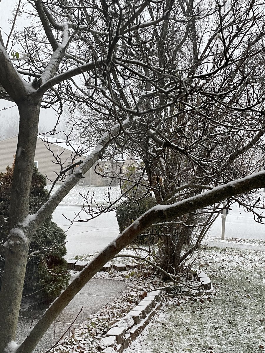 Michele I. Harper tweet media