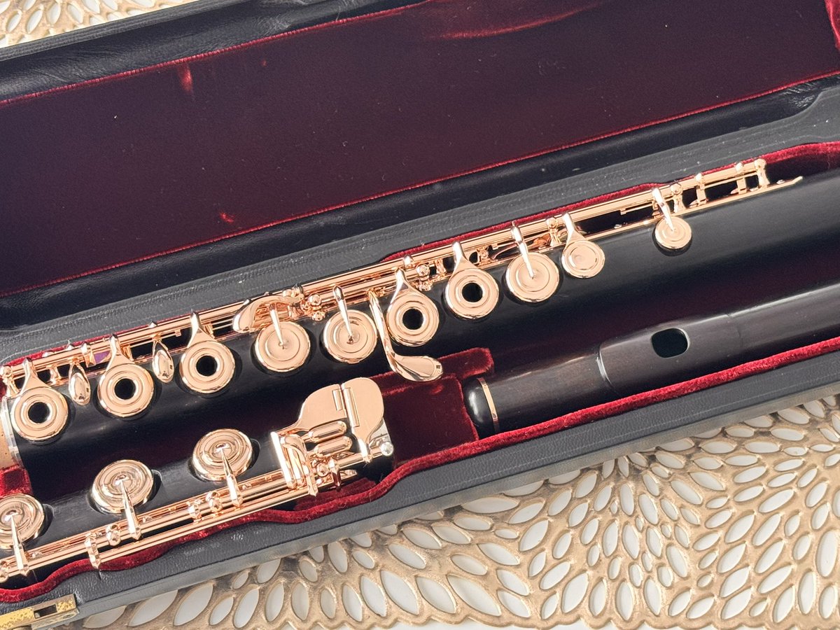 今井亨 (@torufl) / Posts / X