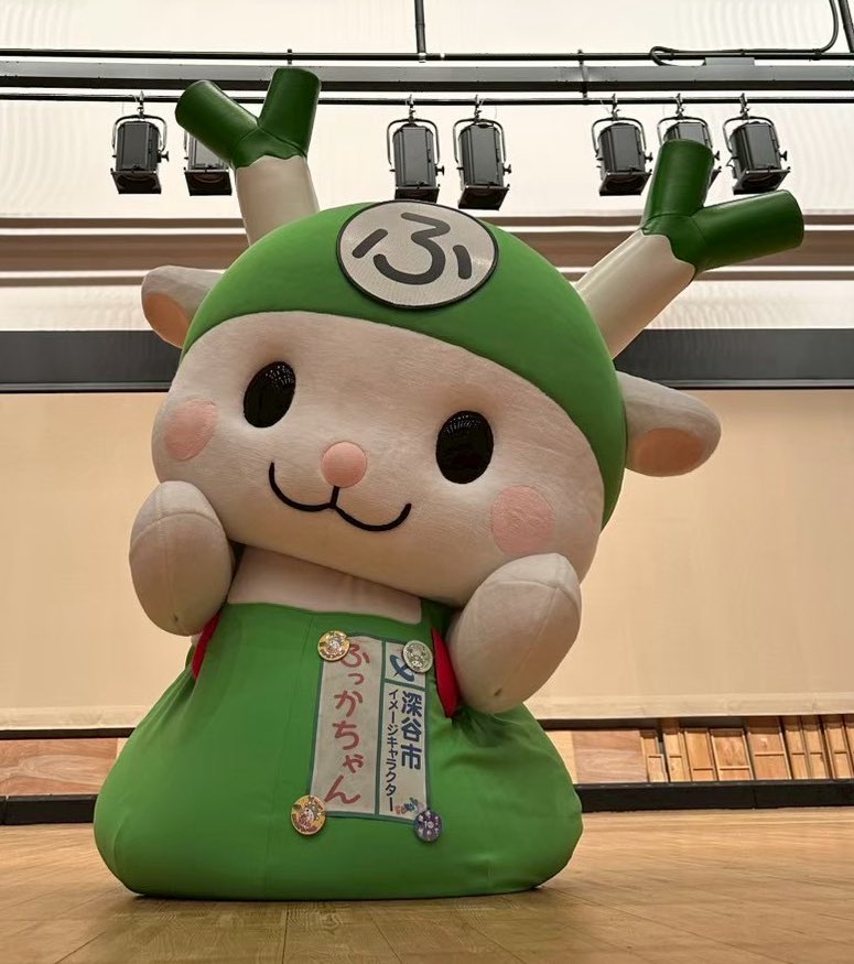 ふっかちゃん (@fukkachan) / Posts / X