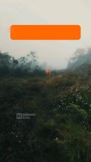 Mizo_BA's tweet photo. Alat wajib pendaki gunung, mau musim hujan ataupun kemarau. #jashujan #poncho3in1 #racunshopee #shopeeaffiliate #Desember https://t.co/a8NHzeAdVL https://t.co/S87tzM3rBS