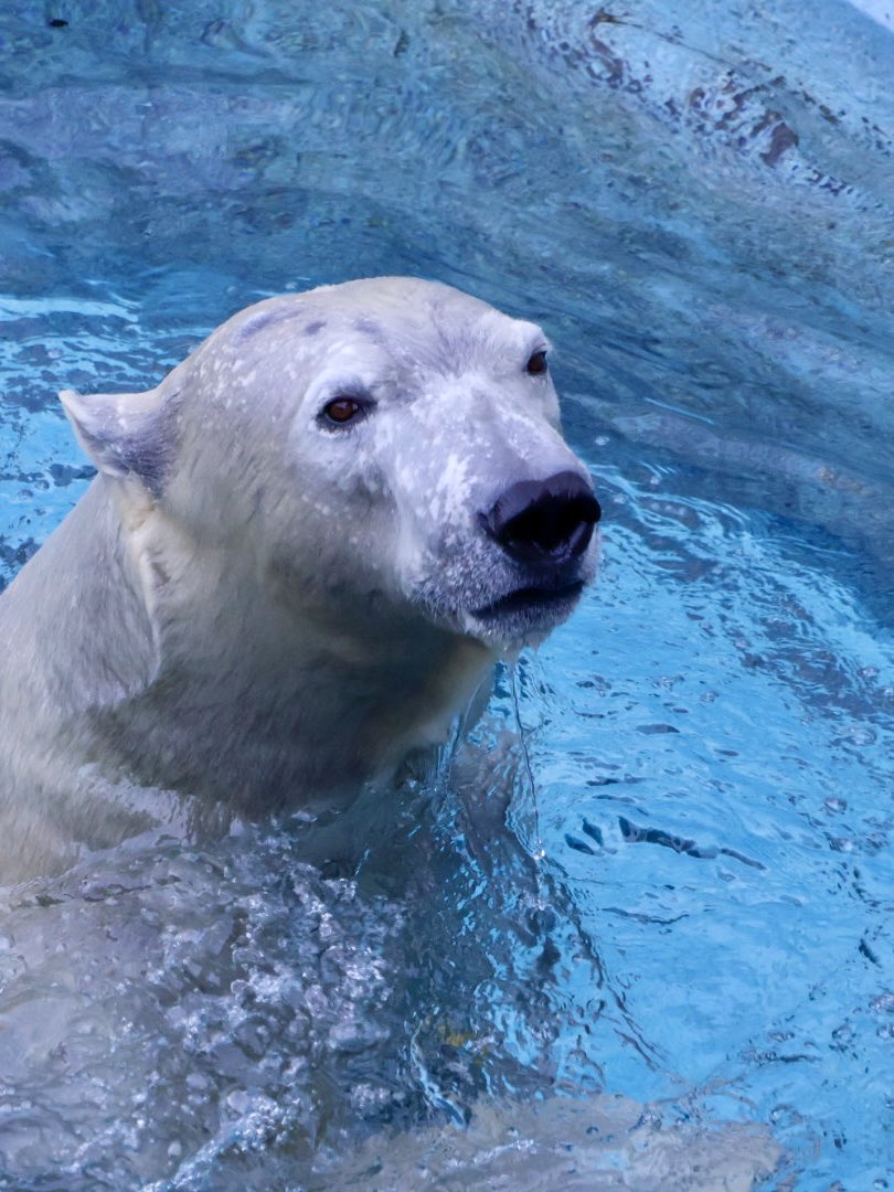 ちーじー🐼🌼 (@mutasokj) / Posts / X