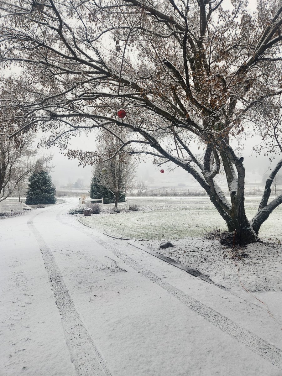 <a href="/mattgraykxly/">Matt Gray ⛈</a> It's all white out in the Greenbluff area! ❄️🤍❄️