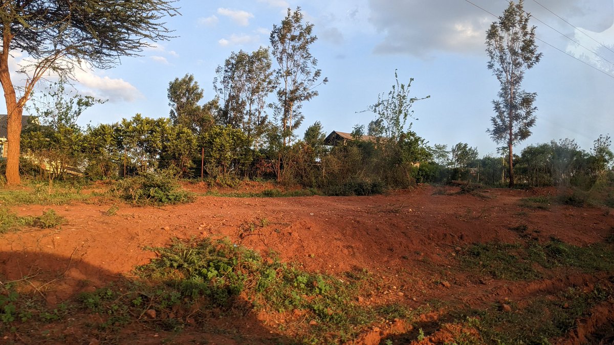 HakiNawiri's tweet photo. Across #Africa severe #droughts and  pollution is underlining development gains @Didara @LaBetina_ @agcconnect @hlpe_cfs @IPESfood @DannyWijnhoud @BazuHashu https://t.co/5vjzgImVIb