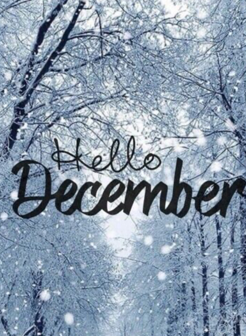 chelletalks's tweet image. Hello December!❄️