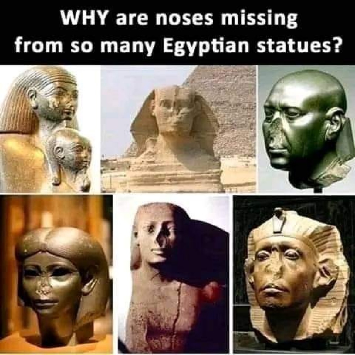 Nobody noes the answer to this: