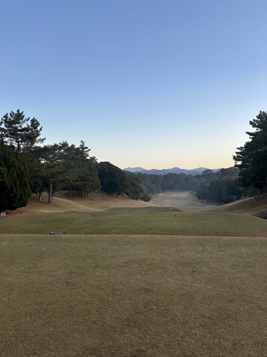 ocyaocya3's tweet photo. スタート https://t.co/xOEVArs7v3