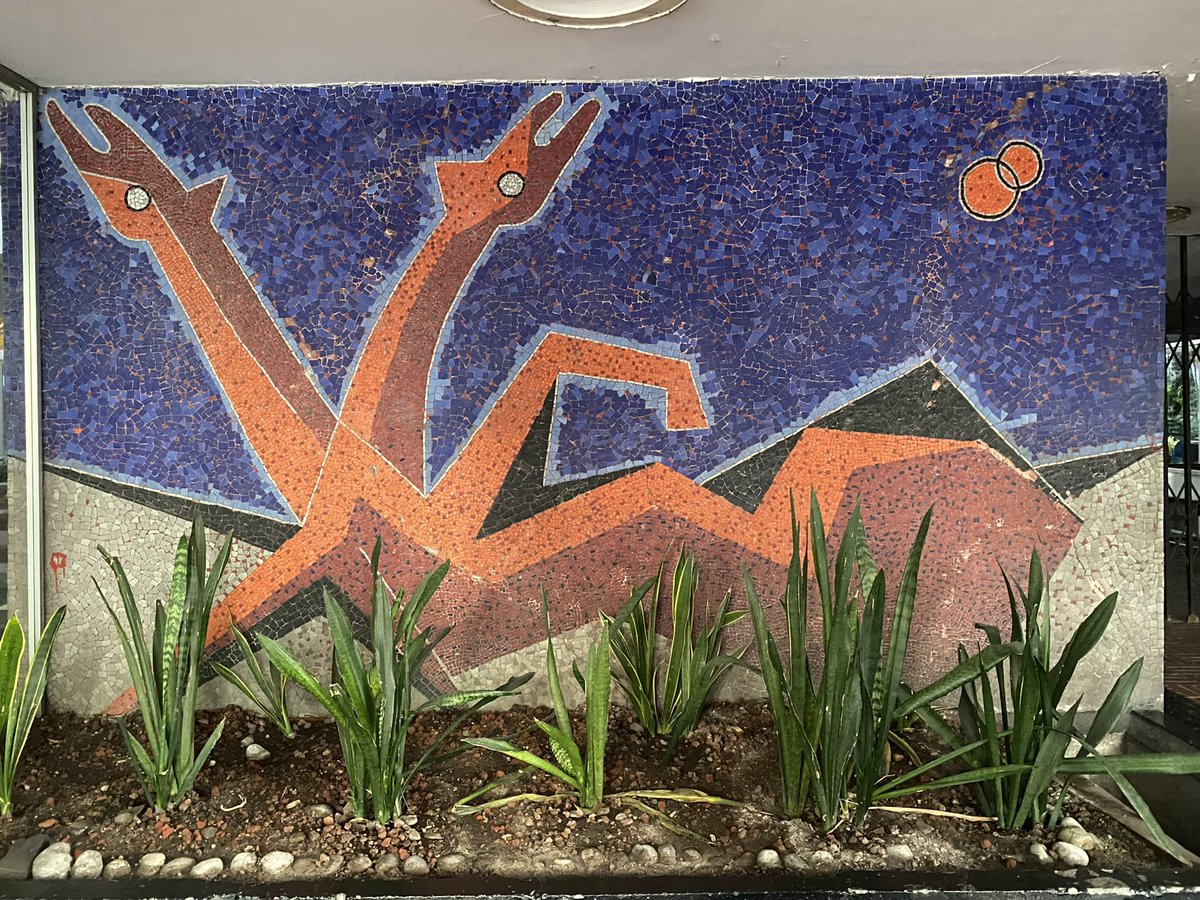 wonder_m_r's tweet image. Tengo este mismo tuit pero con ejemplos de la CDMX