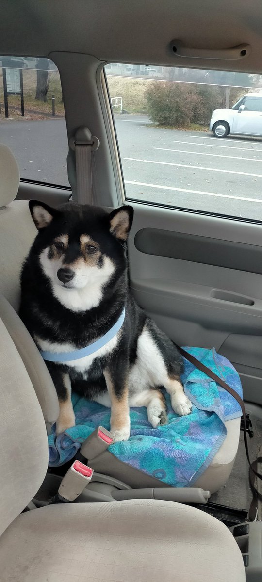 公園まで来たけど車から降りたくないというので帰ります