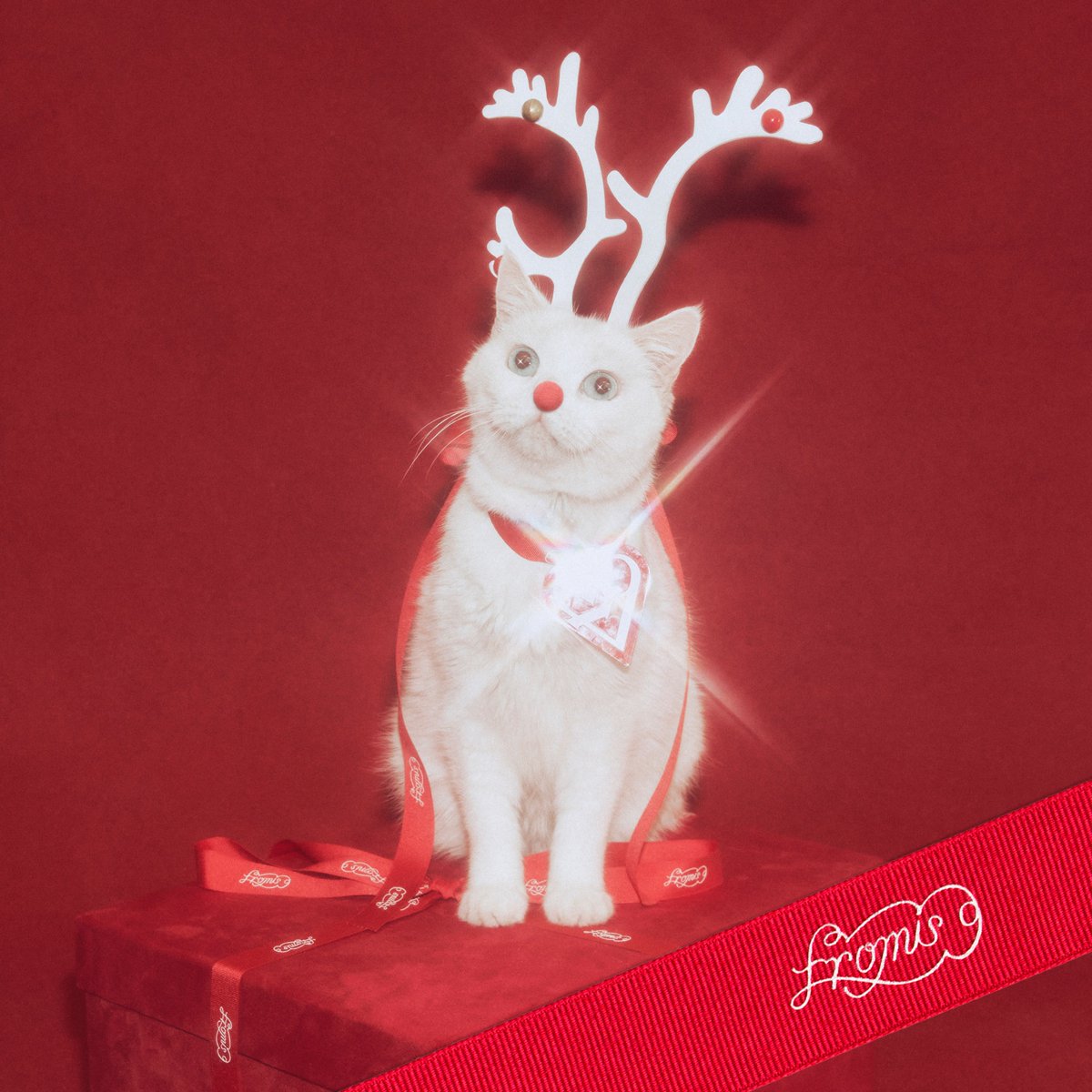 싱글리스트 X 포스트 이미지 - 프로미스나인 리메이크