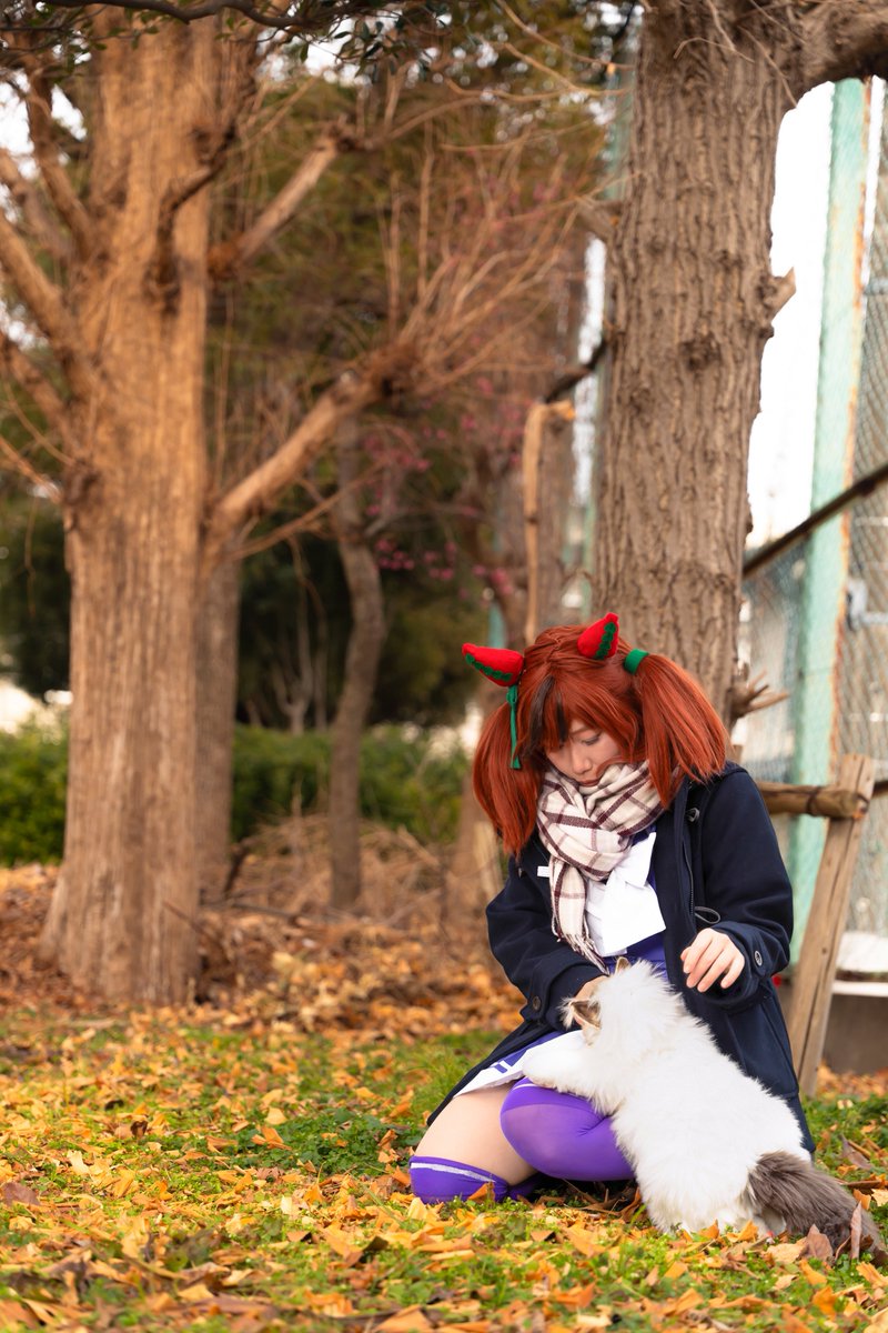 MK (@mk5_4450kv2) / Posts / X