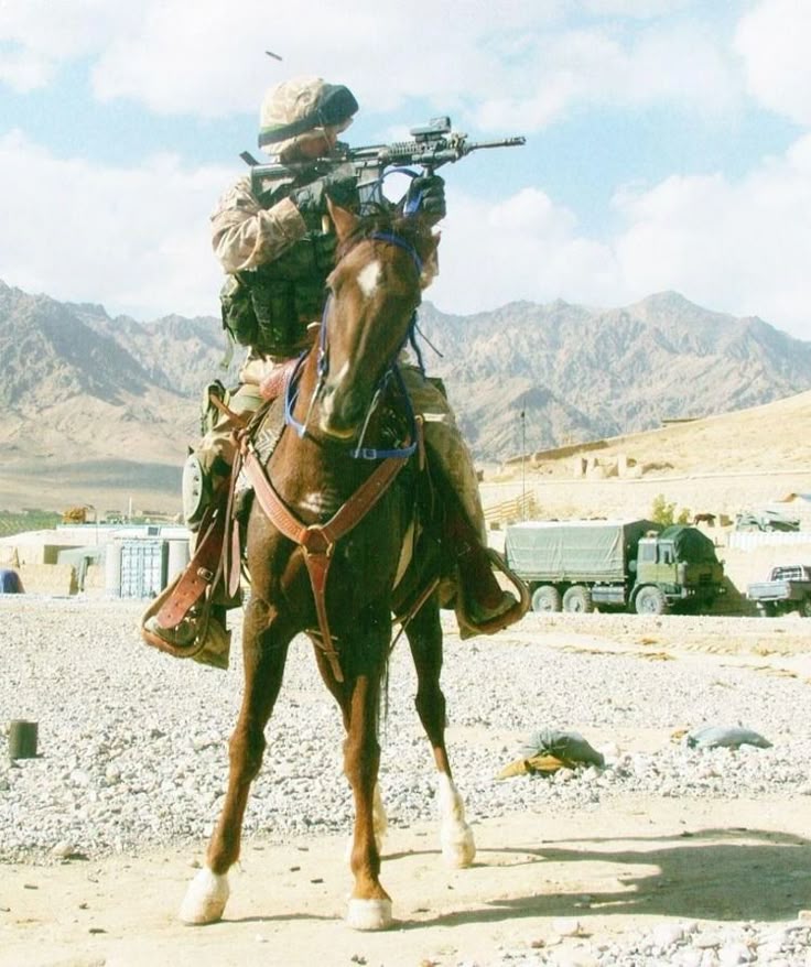 Combat Archive tweet media