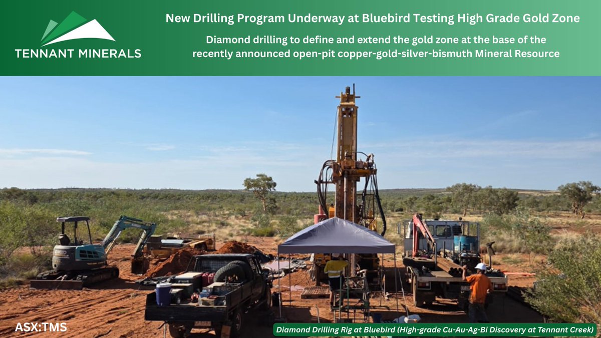 TennantMinerals's tweet photo. Diamond drilling underway at $TMS Bluebird high-grade Cu-Au discovery to define &amp; extend gold zone at base of recently announced open-pit Cu-Au-Ag-Bi Mineral Resource.
https://t.co/WyoaPyYEDl
#ASXNews #Copper #Gold #Silver #Bismuth https://t.co/owc1K34Zrq