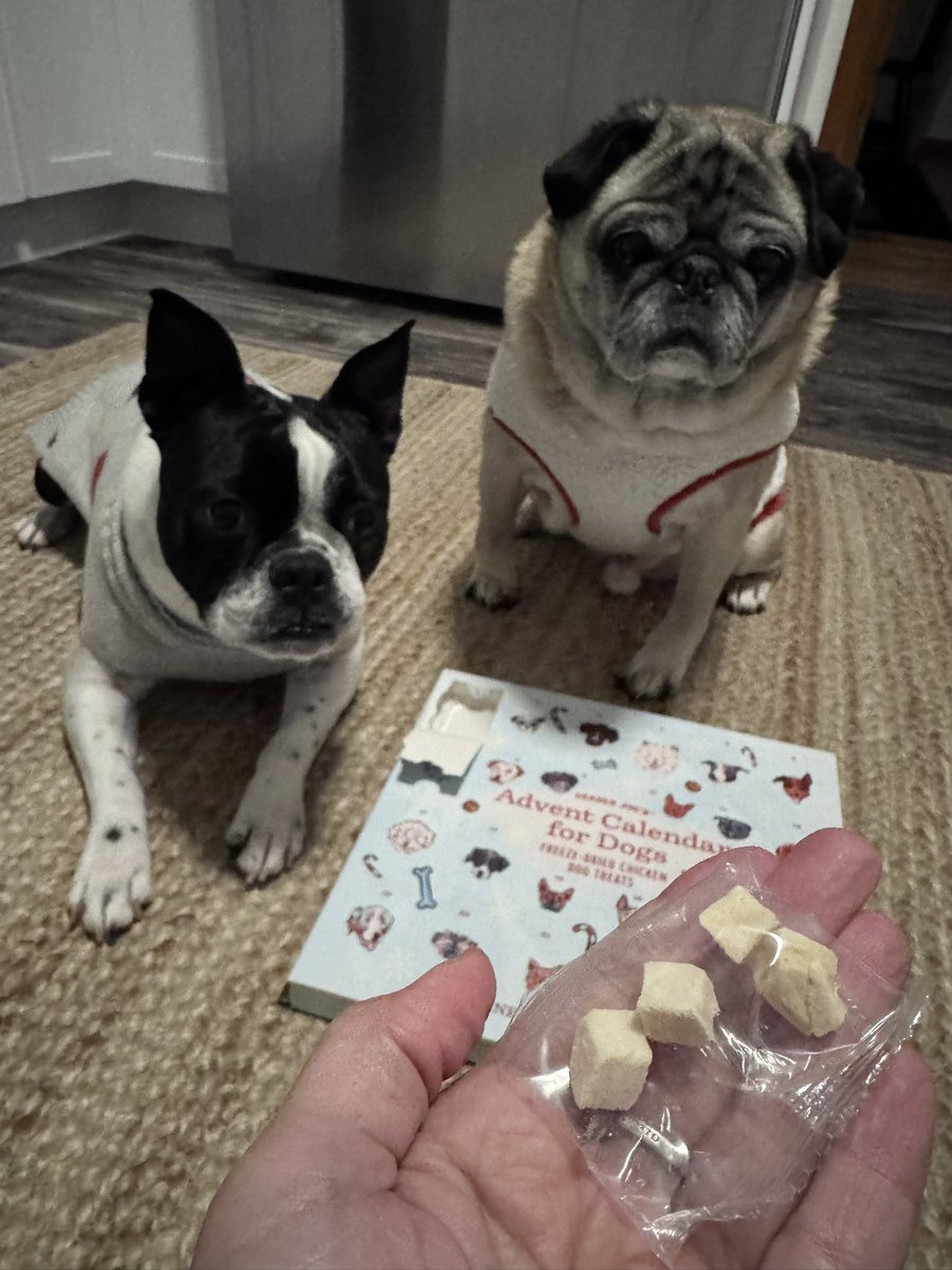 Day one of our Trader Joe’s advent. It’s freeze dried chiggen. 😝