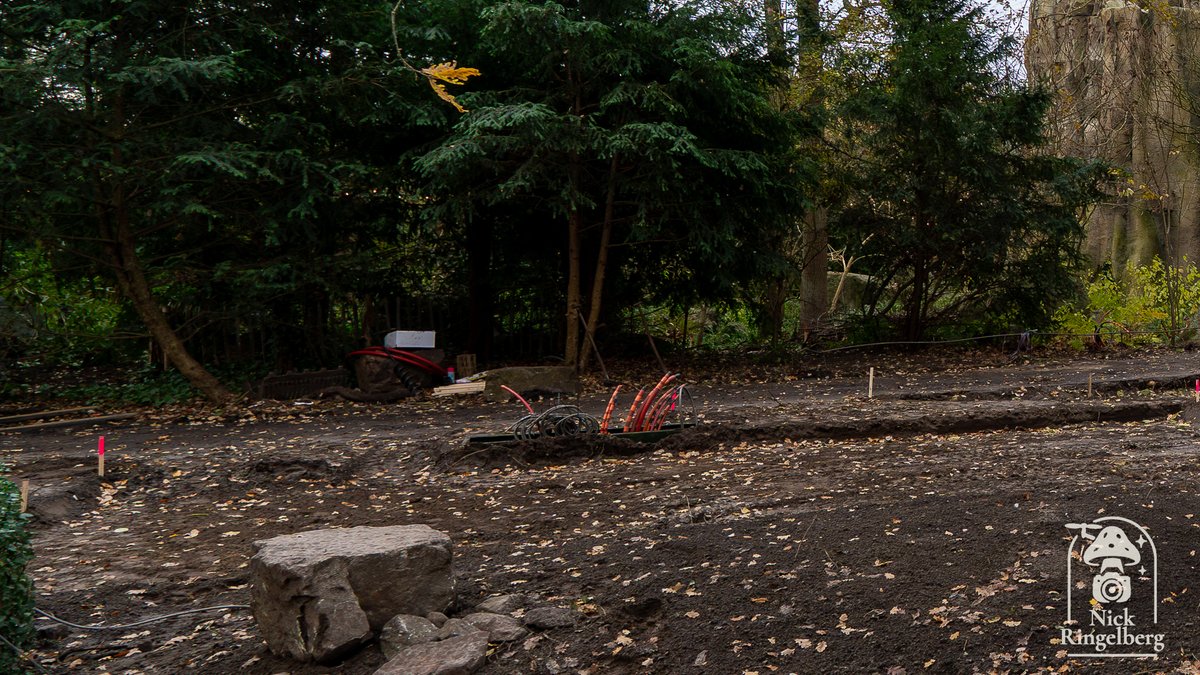 RingelbergNick's tweet photo. Dat de ingang van Fabula altijd een beetje verstopt was, oké… maar zó zichtbaar had ik ‘m nou ook weer niet hoeven hebben. 🦊🔧

#Efteling #Fabula #Reizenrijk #EftelingFans #EftelingFotografie #bouwupdate #EftelingNieuws #themeparks #pretpark #MagicOfParks https://t.co/FmNsrDi7jU