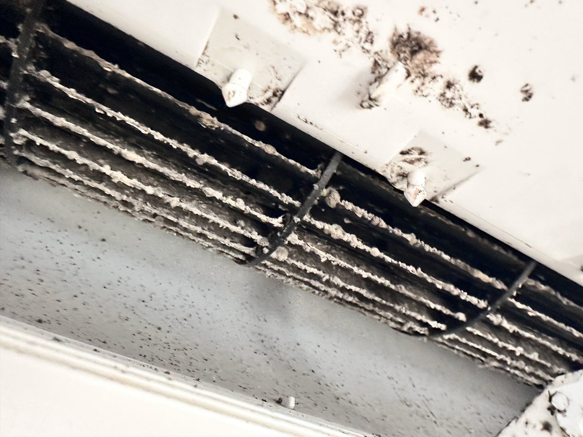 カビだらけのエアコンを内部洗浄した後に、普段はイルカの背びれが