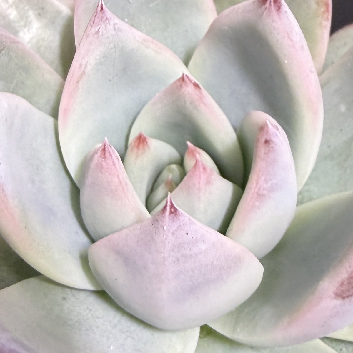 TOMOZOO (@TOMOZOO56496590) / Posts / X