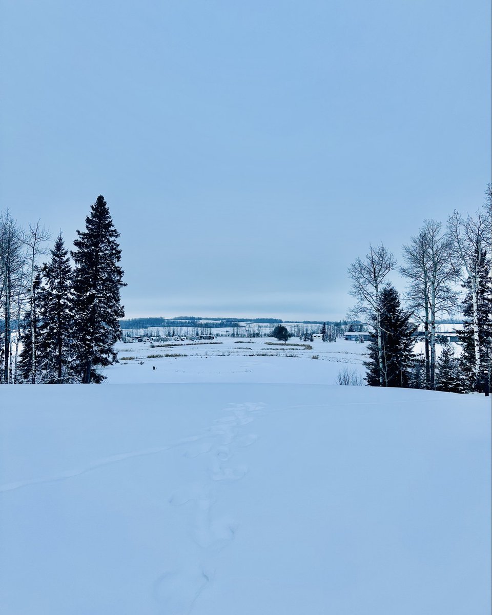 First snowfall at #TrestleCreek! ❄️ Well… at least it’s pretty! 😂 The fairways may be tucked under a cozy blanket of snow, but that won’t stop us from daydreaming about warm mornings, perfect drives and everything the 2026 #golf season has in store. ⛳️
