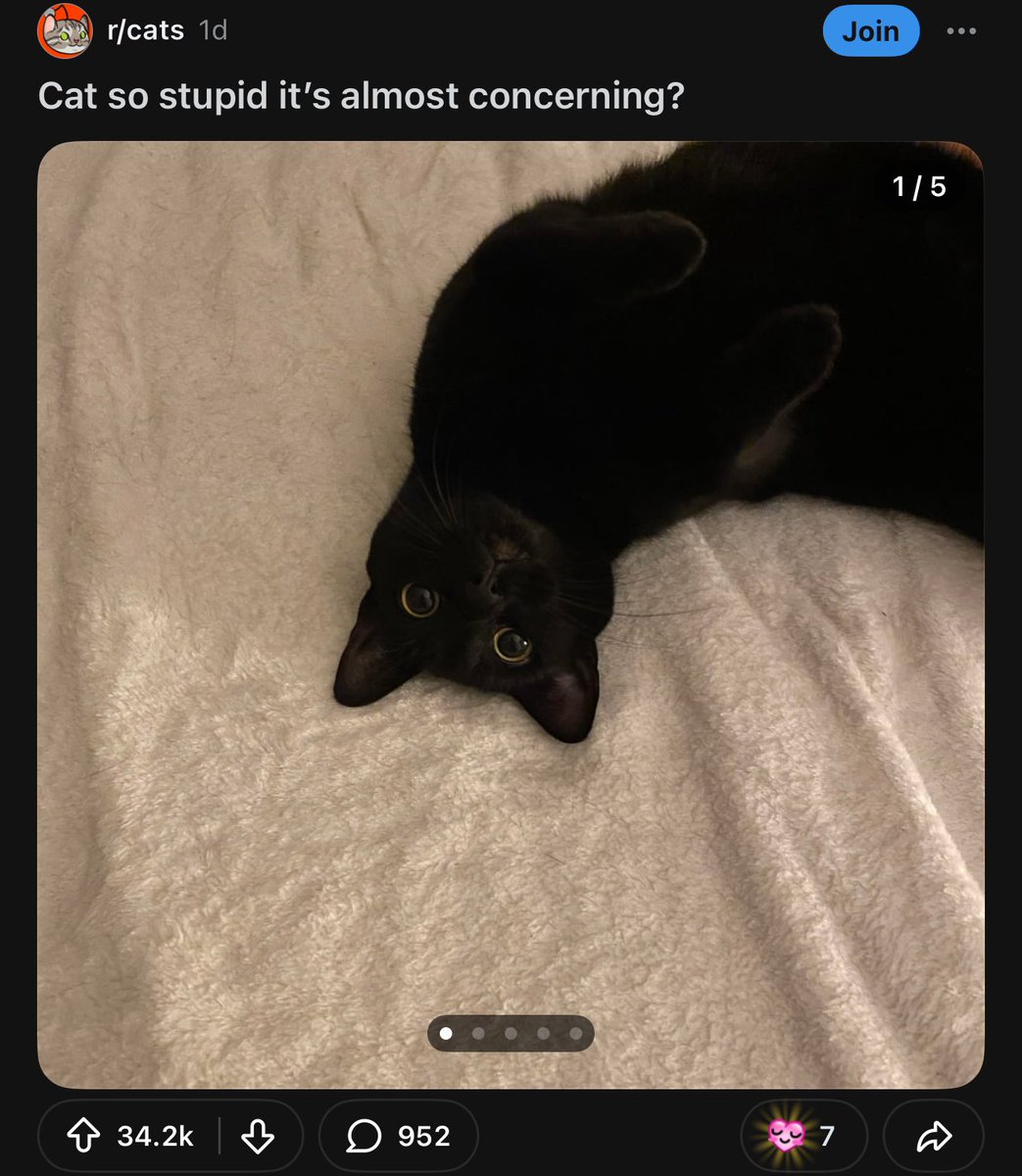 he doesnt look that stupid to me