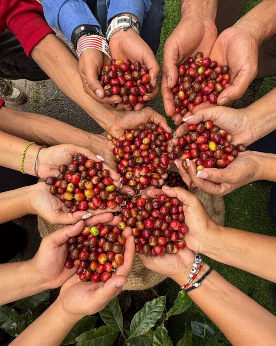 El V Encuentro Internacional de Cafés de Especialidad Venezolano se realizará en el mes de junio de 2026, así lo anunció el presidente de la República Bolivariana de Venezuela, Nicolás Maduro, durante la clausura la cuarta edición.