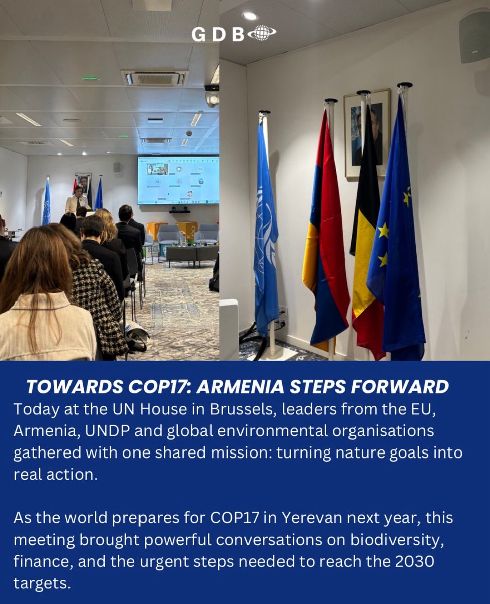 Global Diplomacy Bridge ( GDB ) tweet media