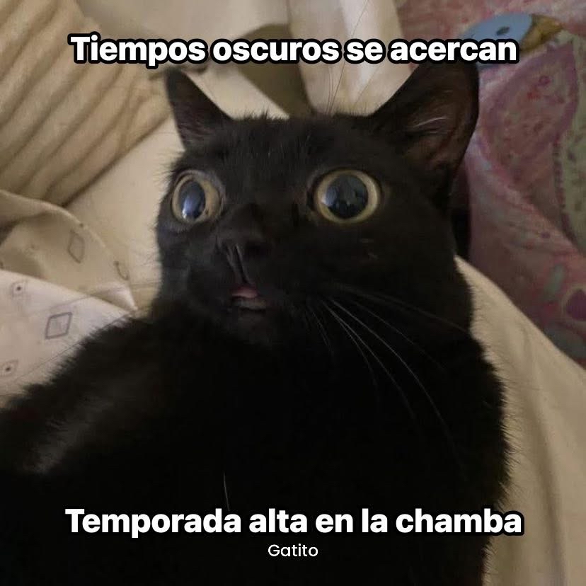 El Guarromántico tweet media