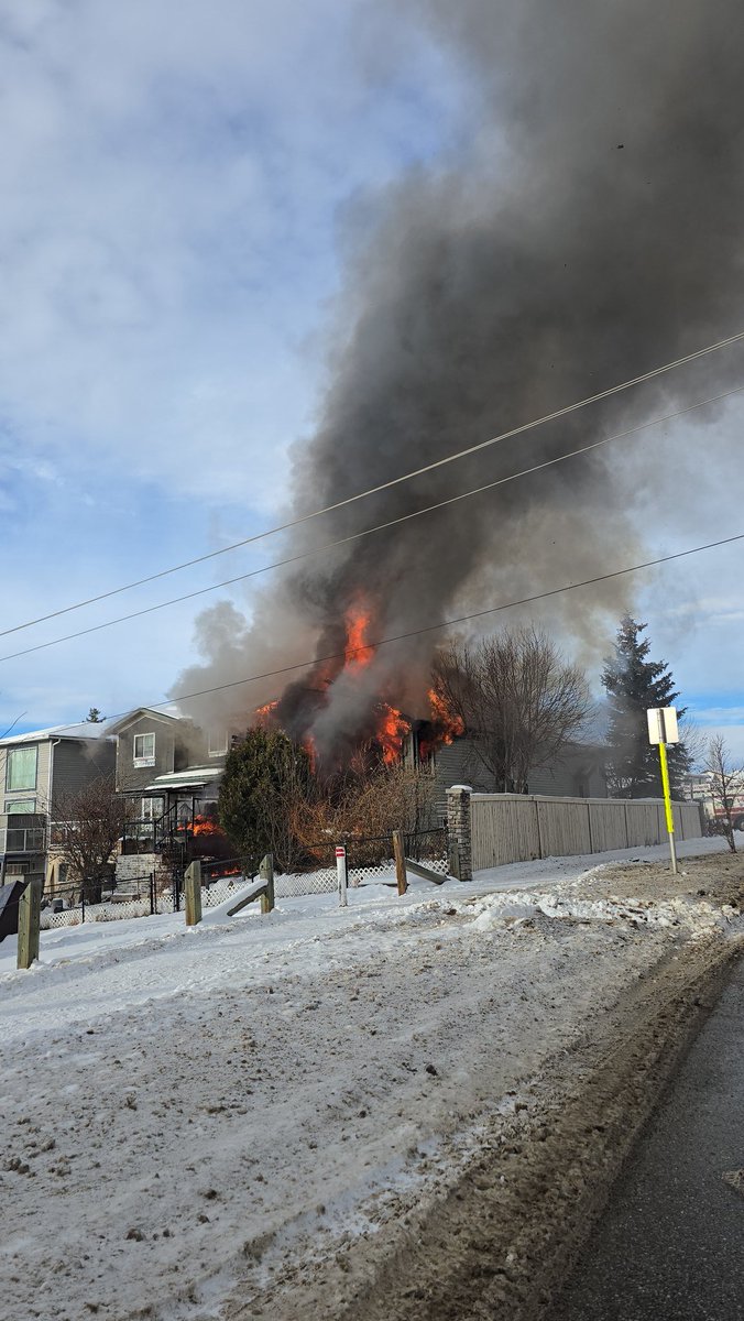 Andrei R Toma 🇷🇴🇨🇦 tweet media