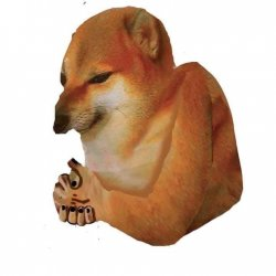 loading_all's tweet image. Planning the nextm move

$cheems