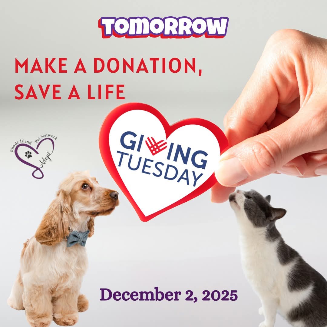 Tomorrow is the most magical day of the season: #GivingTuesday!  Donate to our emergency veterinary expense fund for Rhode Islanders experiencing financial hardship. Visit ripetnetwork.org/donate to make a contribution. Every $ improves the lives of local pets &amp; people!