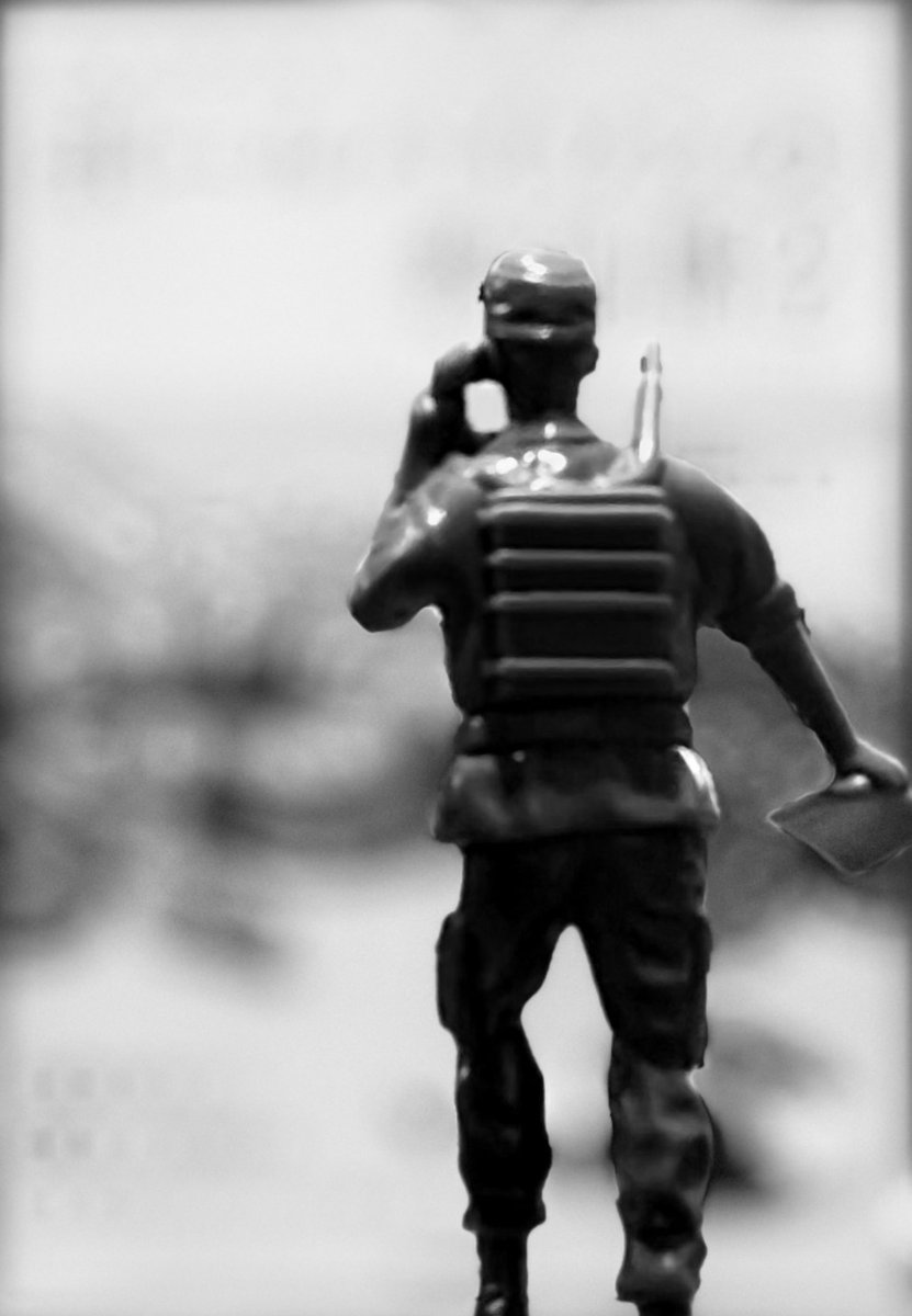 Dnasty0014Y3l's tweet image. #BallPython
#ボールパイソン