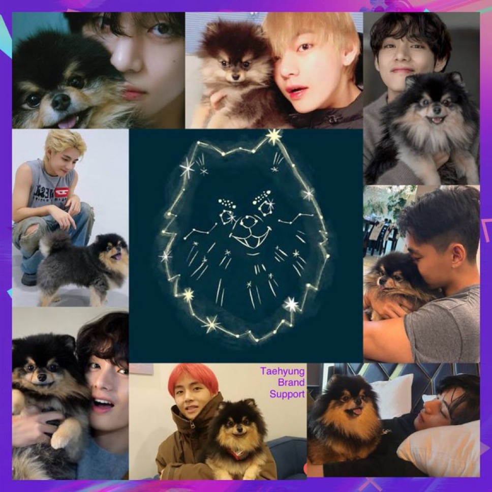 btskthv1230's tweet photo. One year ago today, KIM TAEHYUNG shared with us the heartbreaking news that "Yeontan has embarked on a long journey to the dog stars" 

We will always remember Yeontan and wish for his happiness even in the stars ✨💜

thv, 2 December 2024 👇
[https://t.co/aaLXJRMKHd] https://t.co/gxvX71LZWO