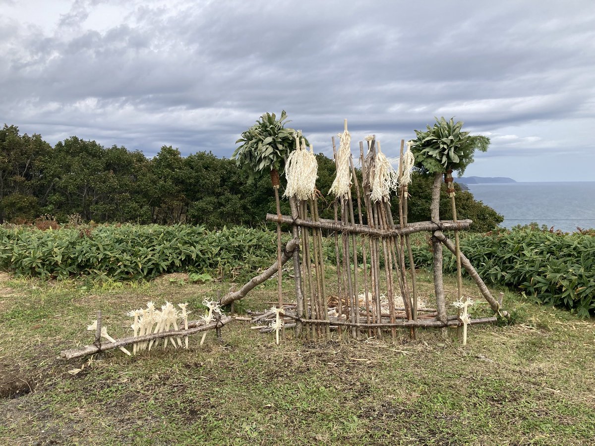ほとんど人が来ない山の中を散策してたら突然これに出会って思わず声出