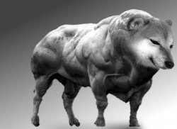 loading_all's tweet image. $cheems bull at your service