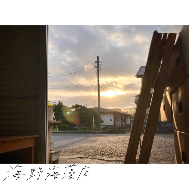 UMINOKAISOUTEN's tweet photo. おはようございます🌞
いよいよ12月ですね！(もう2日ですが😅)
インフルエンザも大変流行っておりますので、体調にはくれぐれもお気をつけてお過ごしください！🙏 https://t.co/V80NWMuS4a