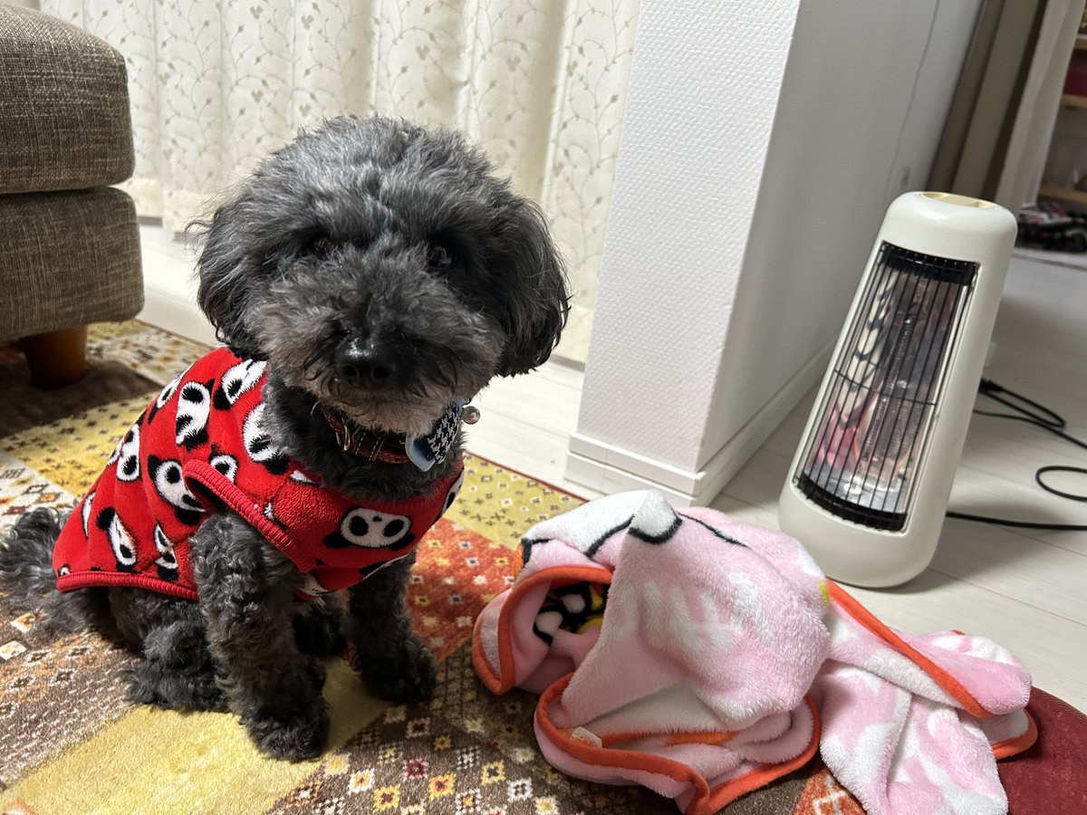 鉄コミュニケイション ルーク