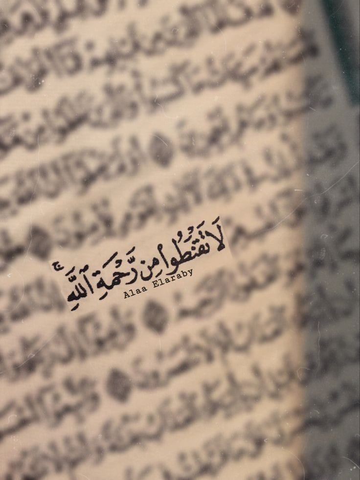 adeaih_'s tweet image. رساله من القرآن 🌿