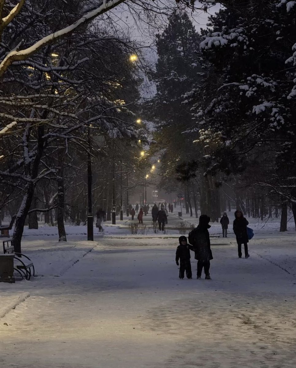 Dostoevskyquot's tweet image. “The mystery of human existence lies not in just staying alive, but in finding something to live for.”

— The Brothers Karamazov