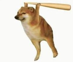 loading_all's tweet image. $cheems is lore, history, memes.

See: knowyourmeme.com/memes/cheems

The reason why @bonkfun even exists

57hpStXvz9H4HktqhY23KFwBhs48rASn5GWNrcFpbonk