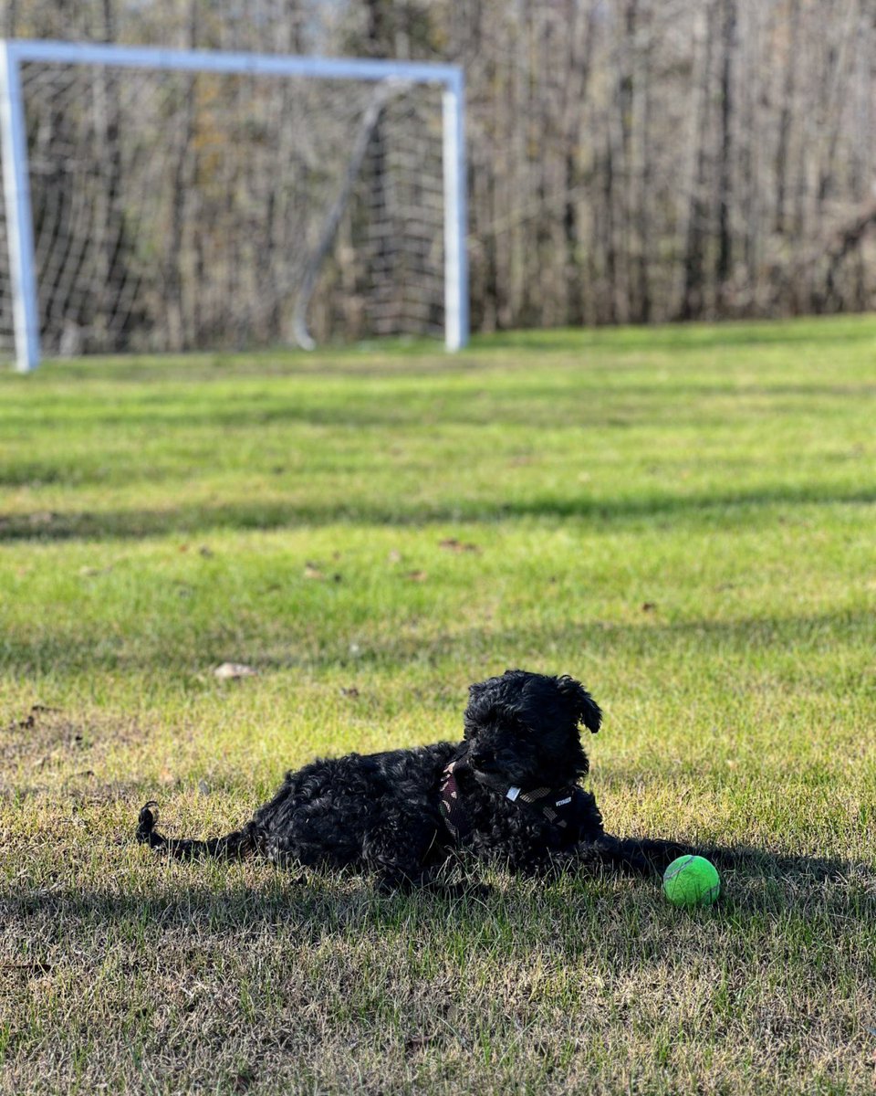 Josh Rudd tweet media