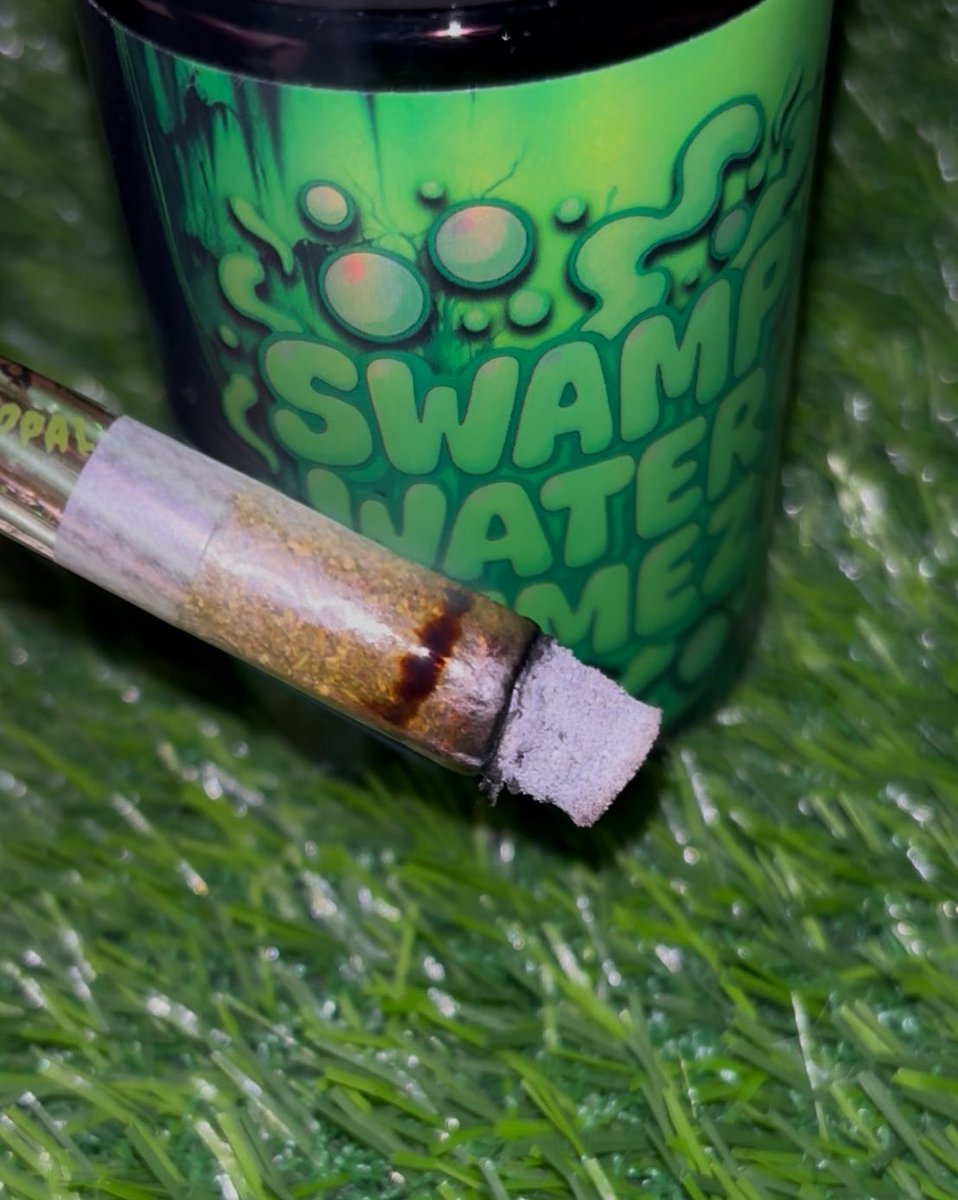 so dank has had me in a chokehold heater after heater😮‍💨

swampwater fumez is smoooking 💨
cant wait to get into the rest 👀

<a href="/PacksFifthAve/">Packs Fifth Avenue</a> 🙏
<a href="/so_dank_exotics/">So Dank Exotics</a> 🔥