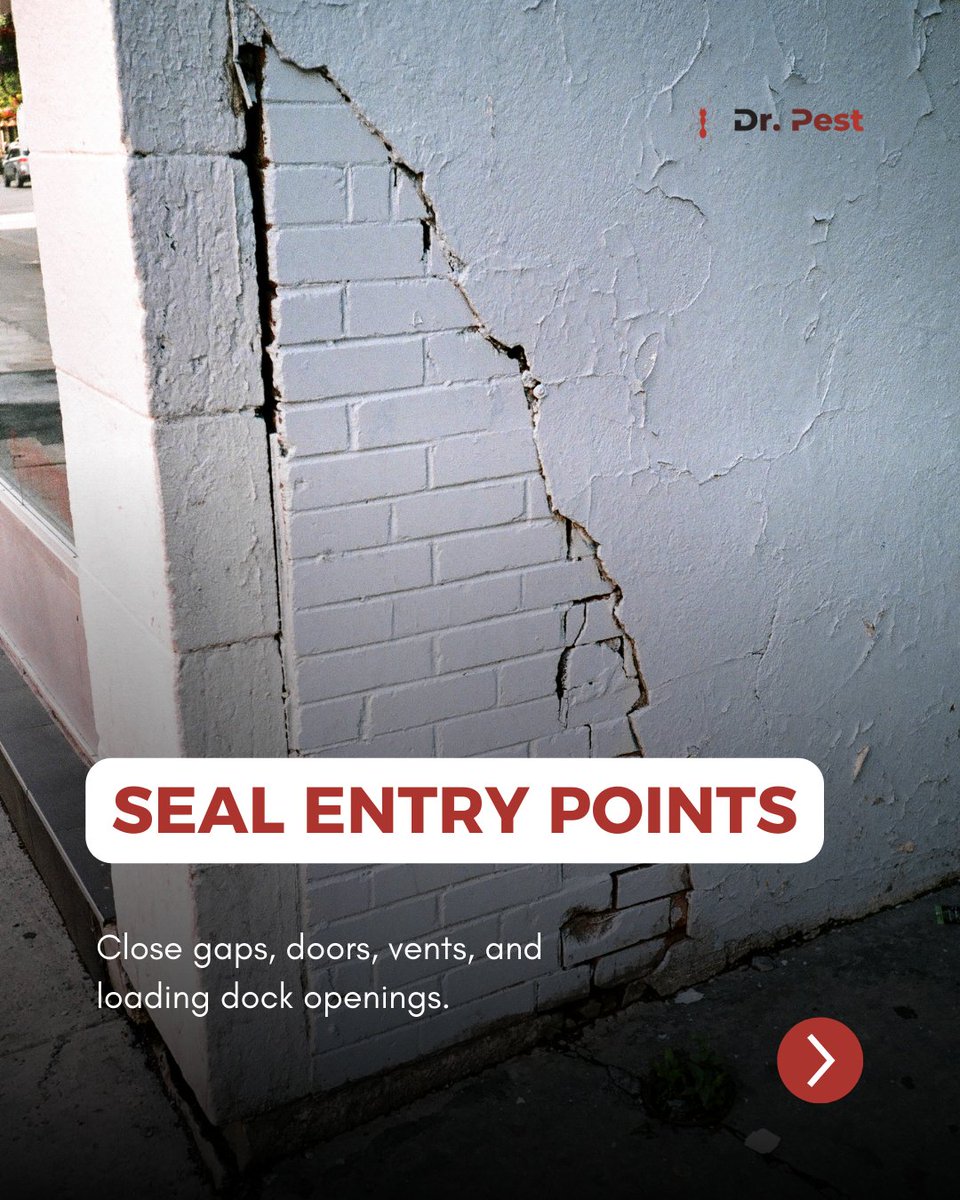 itsdoctorpest's tweet image. Pests in storage facilities cost more than people realize. They damage boxes, eat through packaging and force shutdowns when the problem gets out of hand.

#drpest #pestcontrol #warehousesafety #rodentprevention #facilitymaintenance #infestationalert