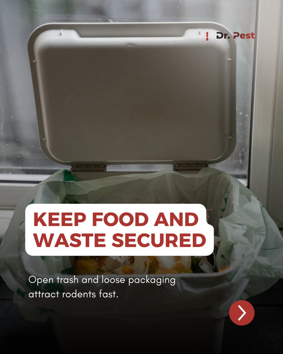 itsdoctorpest's tweet image. Pests in storage facilities cost more than people realize. They damage boxes, eat through packaging and force shutdowns when the problem gets out of hand.

#drpest #pestcontrol #warehousesafety #rodentprevention #facilitymaintenance #infestationalert