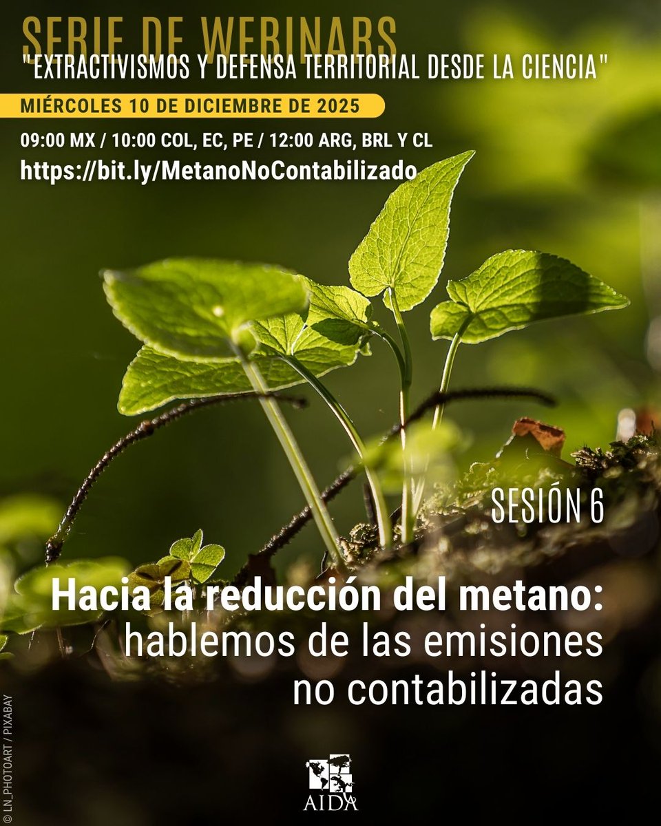 AIDA 🌎 tweet media