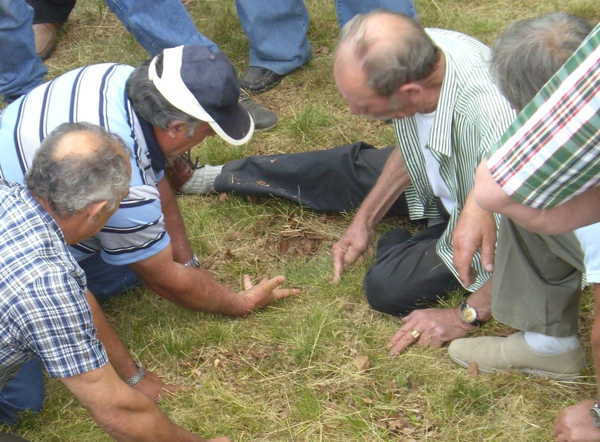 Paxisotel's tweet image. holy bool @biggrillefan @BagleyNation